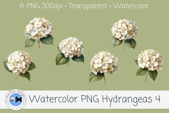 Watercolor Hydrangea PNG Clipart 4: Enhancing Design Workflows with Elegant Visual Assets